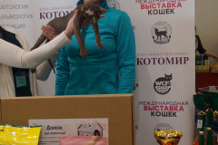 DSC07639