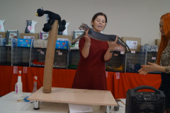 DSC07685