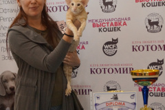 DSC07805