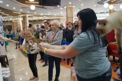 DSC07855