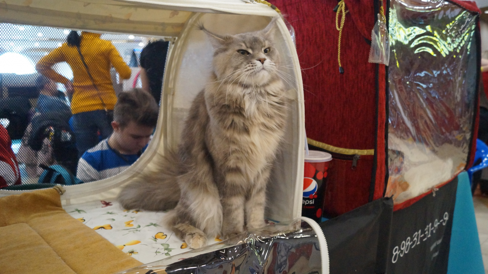 DSC08027