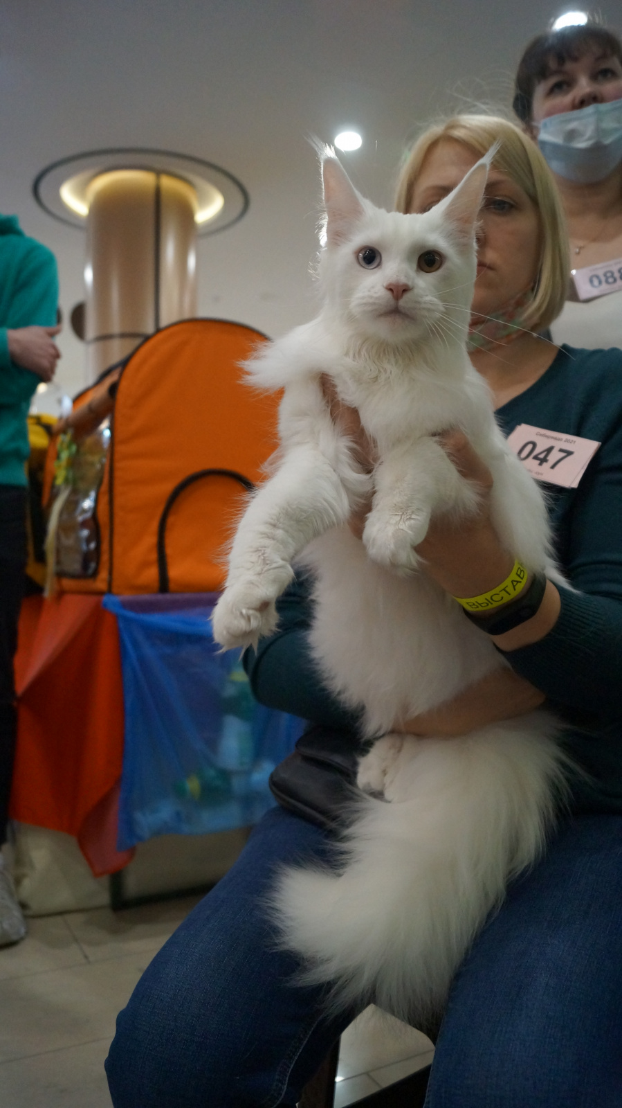 DSC08192