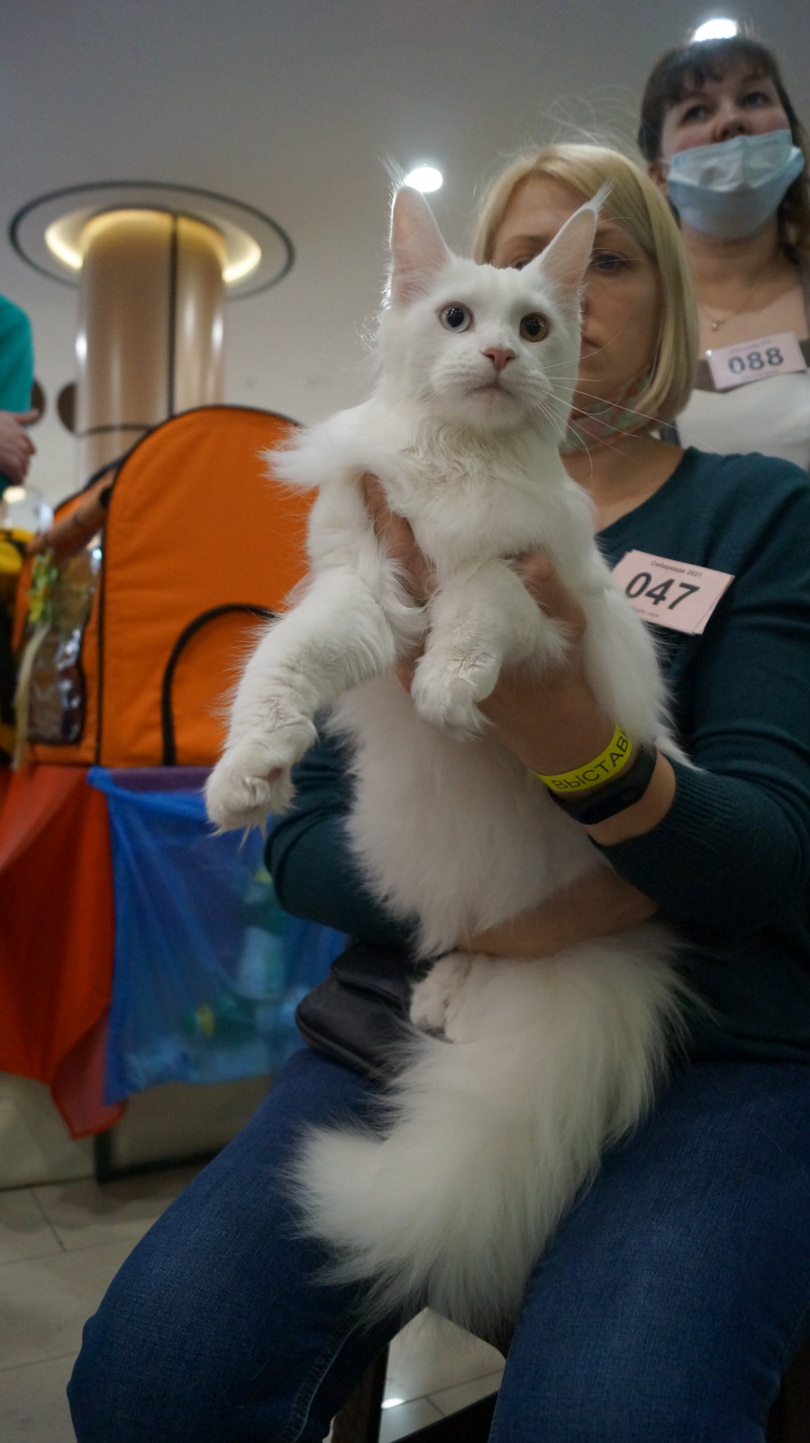 DSC08193