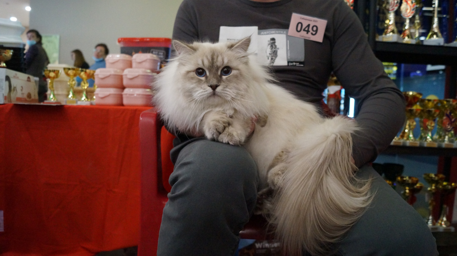 DSC08201