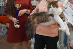 DSC07990