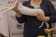DSC08007