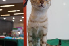 DSC08015