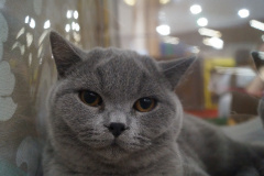 DSC08022