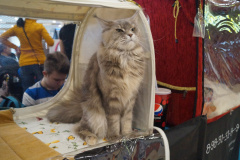 DSC08027
