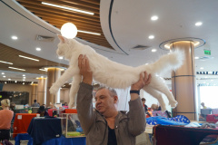 DSC08035