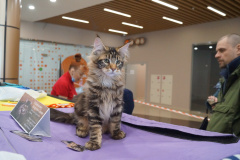DSC08056