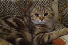 DSC08059