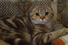 DSC08060