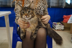 DSC08063