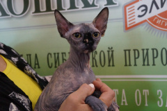 DSC08074