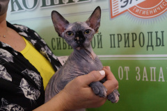 DSC08078