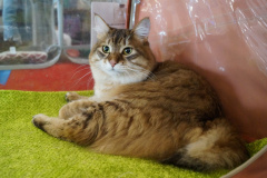 DSC08091