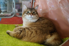 DSC08094