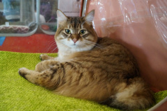 DSC08095