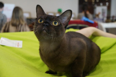 DSC08107