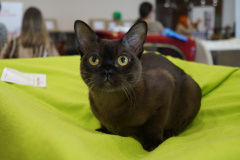 DSC08111