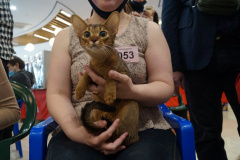 DSC08128