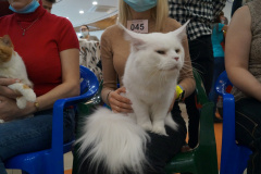 DSC08130