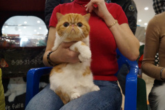 DSC08134