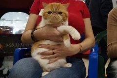 DSC08135