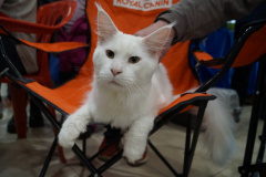 DSC08146
