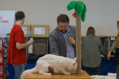 DSC08170
