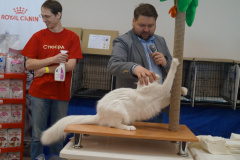 DSC08171