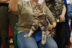 DSC08187