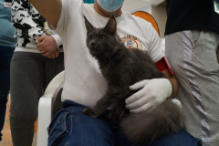 DSC08190