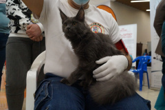 DSC08191