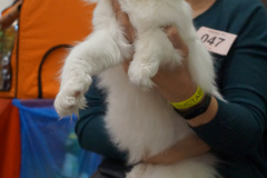 DSC08194