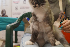 DSC08195