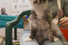 DSC08196