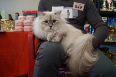 DSC08199