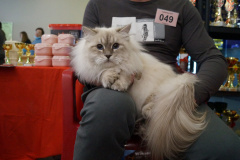 DSC08200