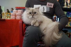 DSC08201