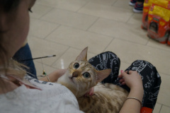 DSC08203