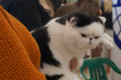 DSC08331