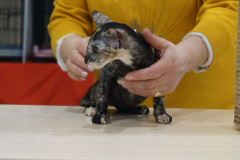 DSC08446