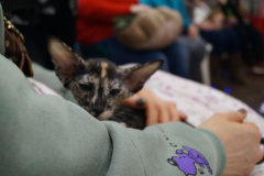 DSC08466