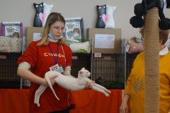 DSC08485