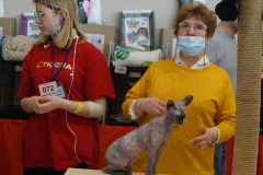 DSC08500