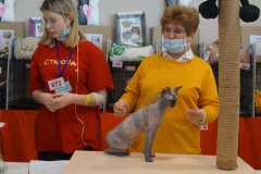 DSC08501