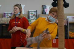 DSC08507