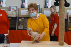 DSC08541